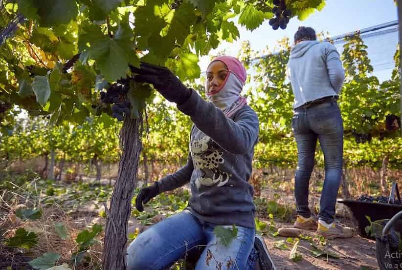 Cuánto cobro por el exPotenciar Trabajo en febrero 2025